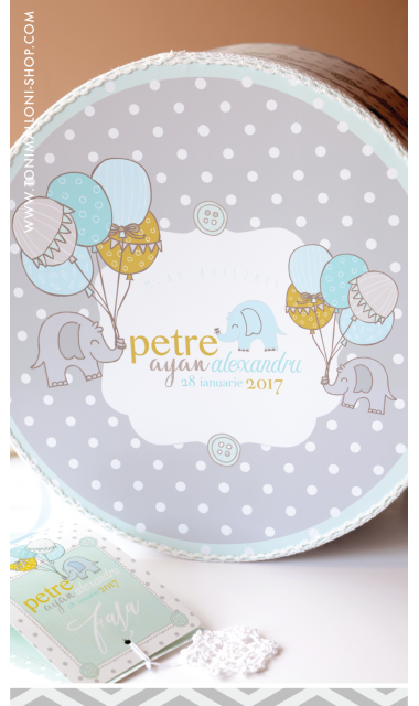 Trusou botez cu elefantei si baloane de aer cald, Grey Baby Elephant  3